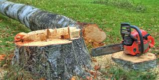 Carbon Hill, AL Tree Care Company